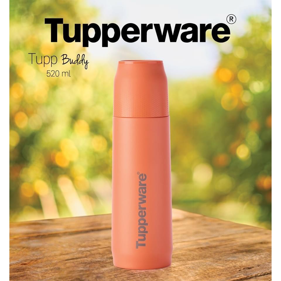 Bình Giữ Nhiệt Tupperware Tupp Buddy 520ml