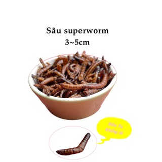 Sâu superworm cho hamster, sóc,nhím,thú cưng