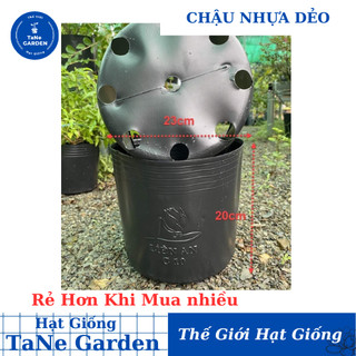 Chậu nhựa C10 đen trồng cây, trồng rau, chậu trồng hoa Vạn Thọ TẾT