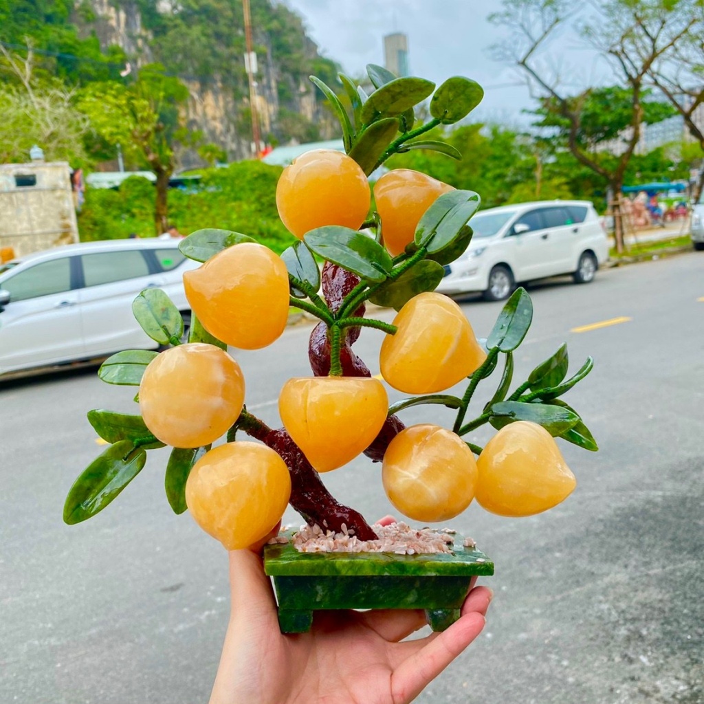 Cây đào đá ngọc hoàng long 9 quả chậu chữ nhật siêu đẹp mịn