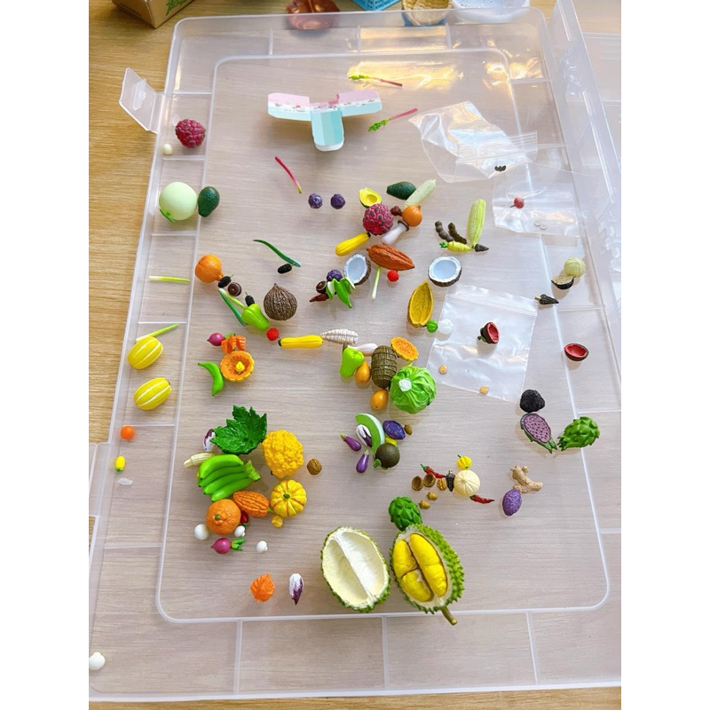 Bộ mô hình Vườn rau củ Jykys mới tinh 8 set