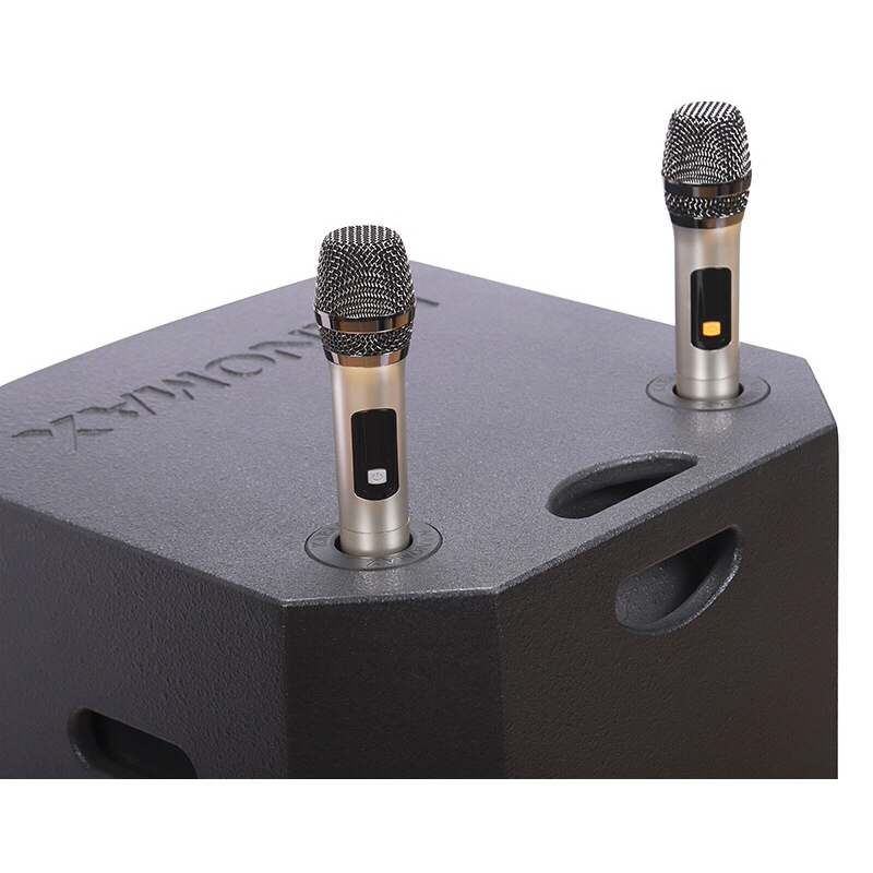 Loa Karaoke di động Nanomax K-1000