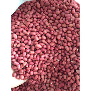 2kg Lạc đỏ quê bóc vỏ củ nhỏ