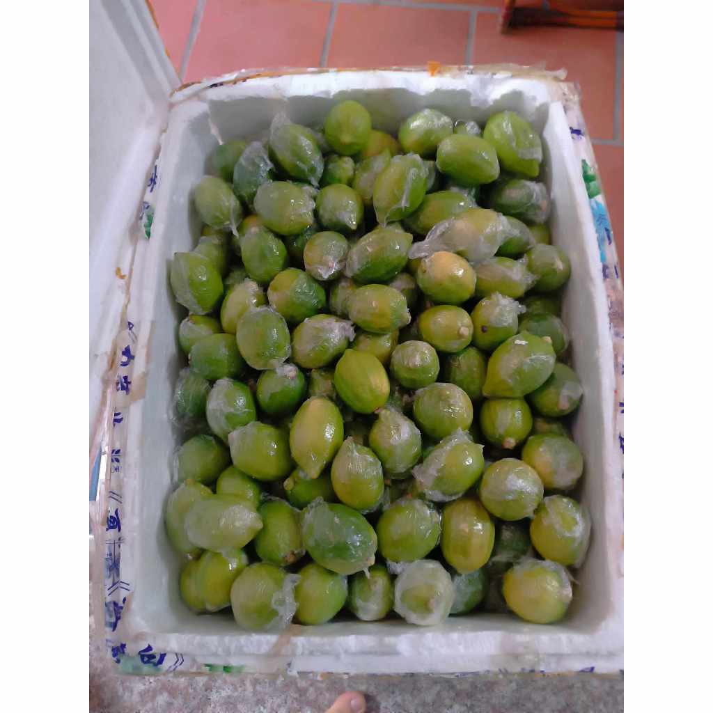 1KG Chanh nước hoa quảng đông tươi siêu thơm ngon làm trà chanh giã tay