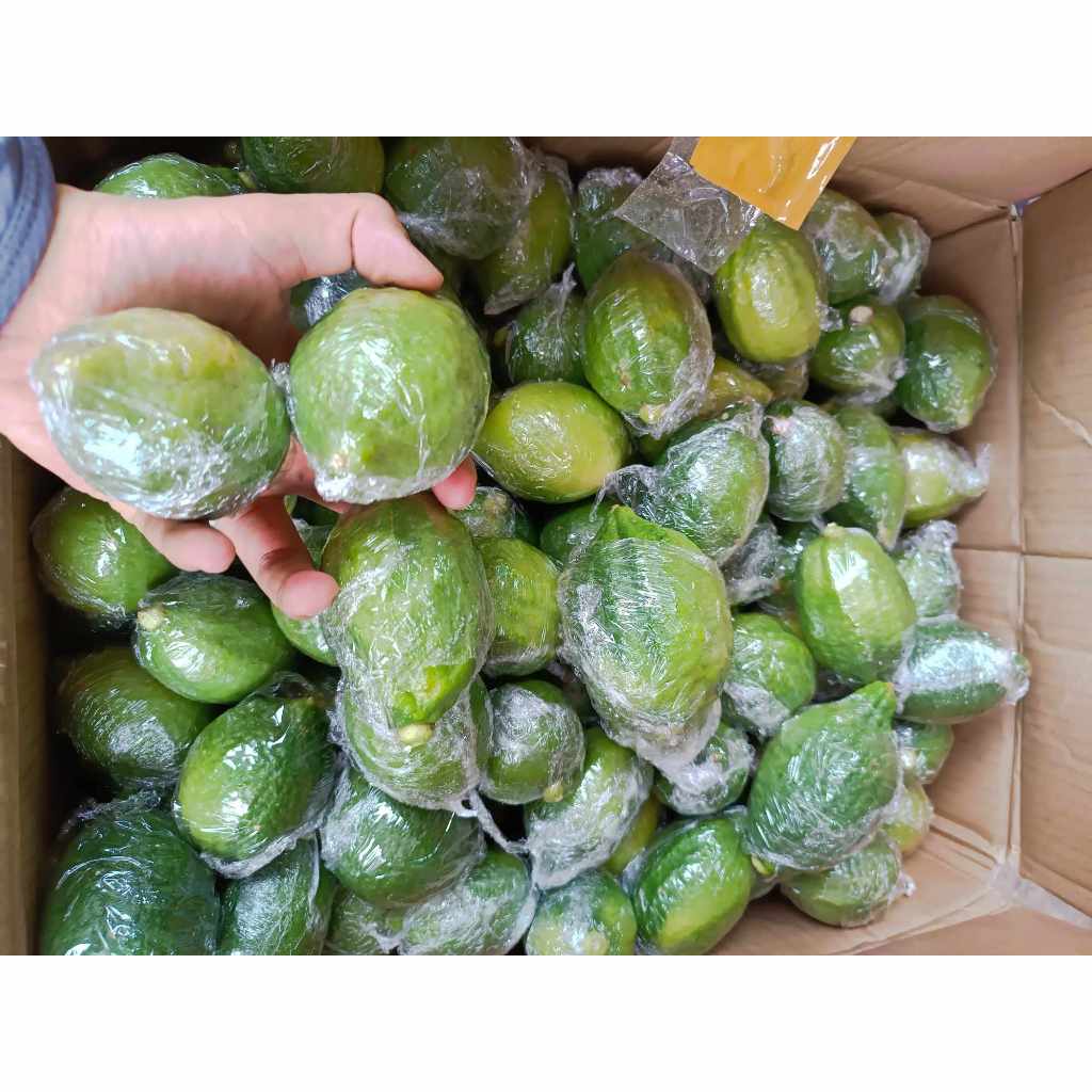 1KG Chanh nước hoa quảng đông tươi siêu thơm ngon làm trà chanh giã tay