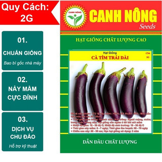 [BÁN SỈ] Hạt Giống Cà Tím (Cà Nâu) Gói Lớn Nhất 2g Trái Siêu Dài, Chịu Nhiệt Tốt, Trồng Quanh Năm Hạt giống CANH NÔNG