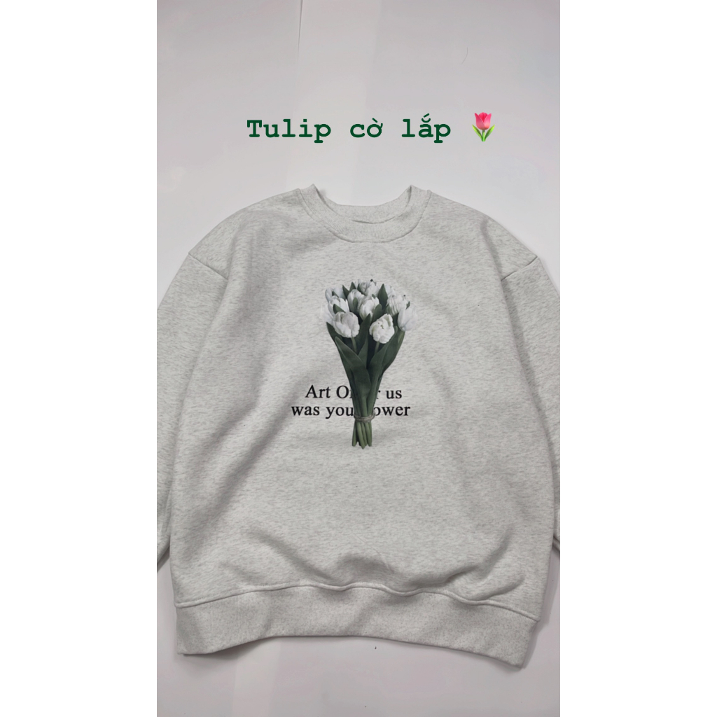 Áo Nỉ Sweater Xám Tiêu In Hình Nhiều Mẫu , Áo Sweater Nữ Nỉ Bông Form Rộng Unisex