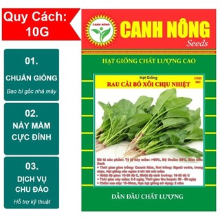 Hạt Giống Rau Cải Bó Xôi Chịu Nhiệt - Rau Chân Vịt, Rau Bina - Shop hạt giống CANH NÔNG