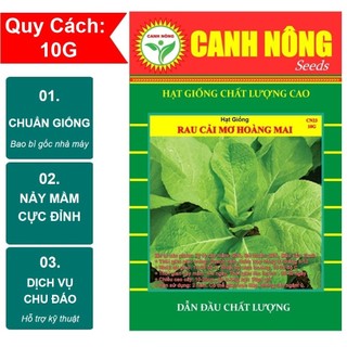 [BÁN SỈ] Hạt giống cải bẹ xanh mỡ Hoàng Mai - Tập làm vườn cùng CANH NÔNG Hạt giống Cải Trắng Ăn Non dễ trồng