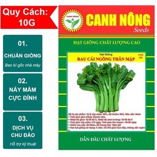 [BÁN SỈ] Hạt giống Cải Ngọt Bông Thân Mập (Cải Ngồng Mập) (gói 10gr) chịu nhiệt tốt, trồng quanh năm Hạt giống CANH NÔNG