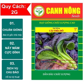 Hạt giống rau cải thìa đỏ - shop hạt giống canh nông