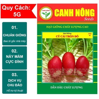 Hạt giống Củ Cải Đỏ Baby dễ trồng, nhanh thu hoạch, giàu dinh dưỡng (gói cực lớn 5gr) - Hạt giống CANH NÔNG