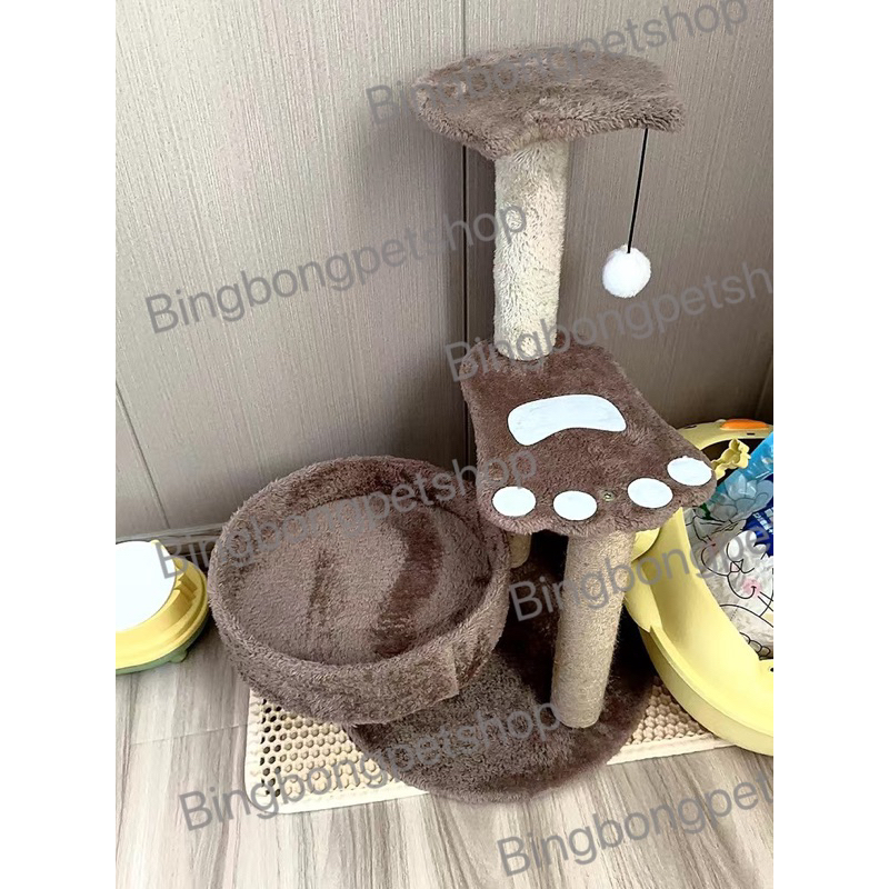 Cattree TRÁI THƠM, XƯƠNG RỒNG,  nâu , CARROT đủ loại