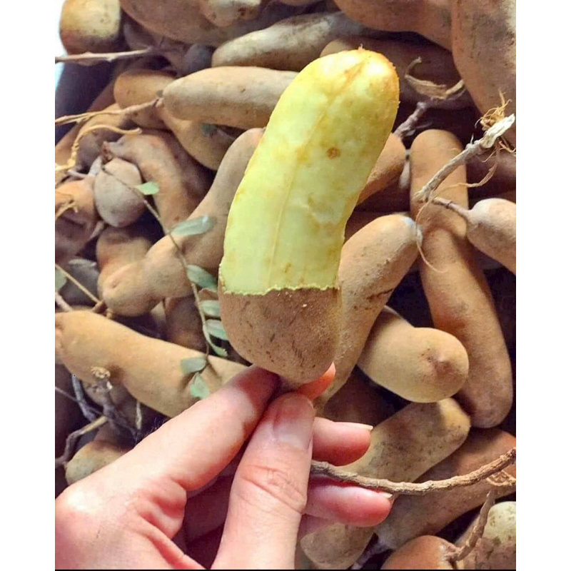 me thái dốt bột loại 2 trái nhỏ ( 1kí ) khách đọc kỹ mô tả trước khi đặt hàng