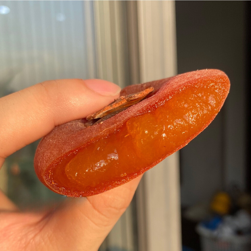 Hồng sấy dẻo Đà Lạt New Shopping, Hồng Treo Gió, Trái Cây Sấy Dẻo Việt Nam Hàng Loại 1