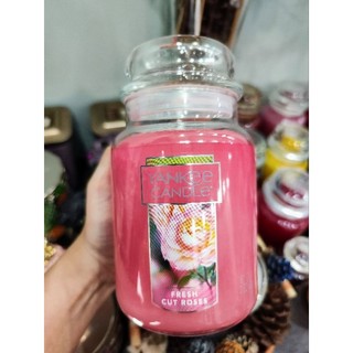 Nến Yankee,Goose....