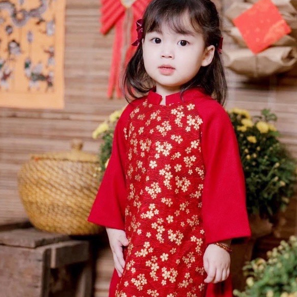 8-28KG Áo dài hoa cho bé gái mặc lễ tết