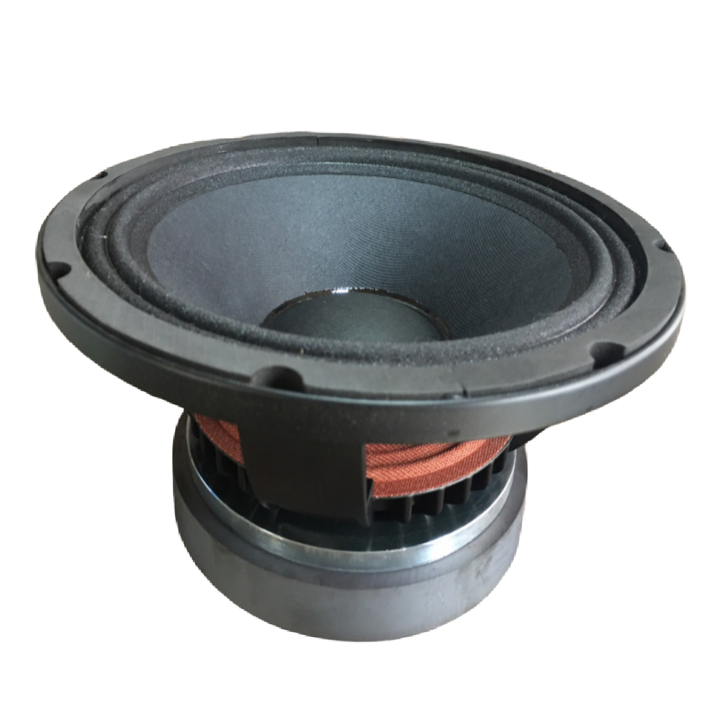 LOA BASS 25 MARTIN GÂN 2 XẾP TỪ 170 COIL 65 - GIÁ MỘT LOA