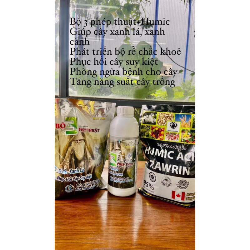 Phân Bón HUMIC ACID