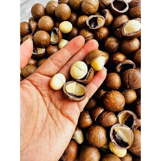 Hạt macca nguyên vỏ siêu thơm,giòn,béo