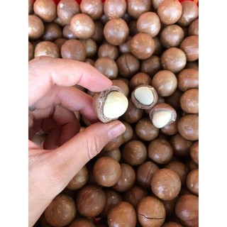 [500GR] HẠT MACCA NGUYÊN VỎ SIÊU THƠM,GIÒN,BÉO