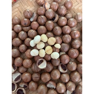 [500GR] HẠT MACCA NGUYÊN VỎ SIÊU THƠM,GIÒN,BÉO