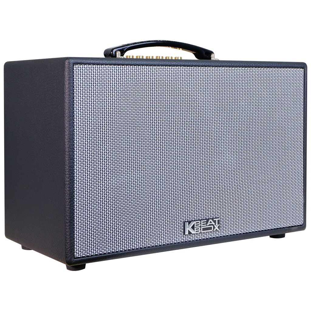 Dàn âm thanh di động xách tay ACNOS CS201PU