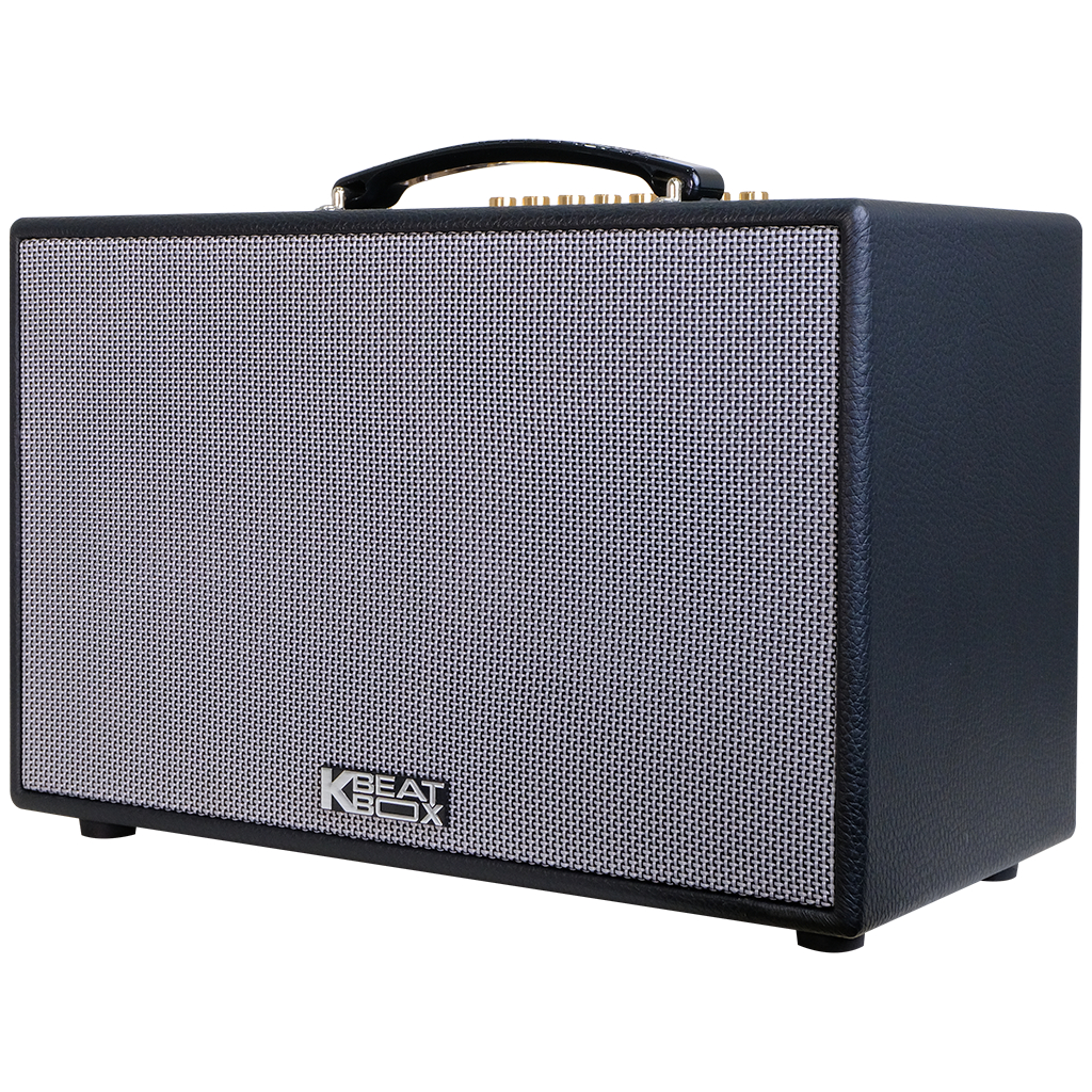 Dàn âm thanh di động xách tay ACNOS CS201PU