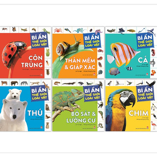 Sách-Combo 6 Cuốn Bí ẩn thế giới loài vật-Kim Đồng