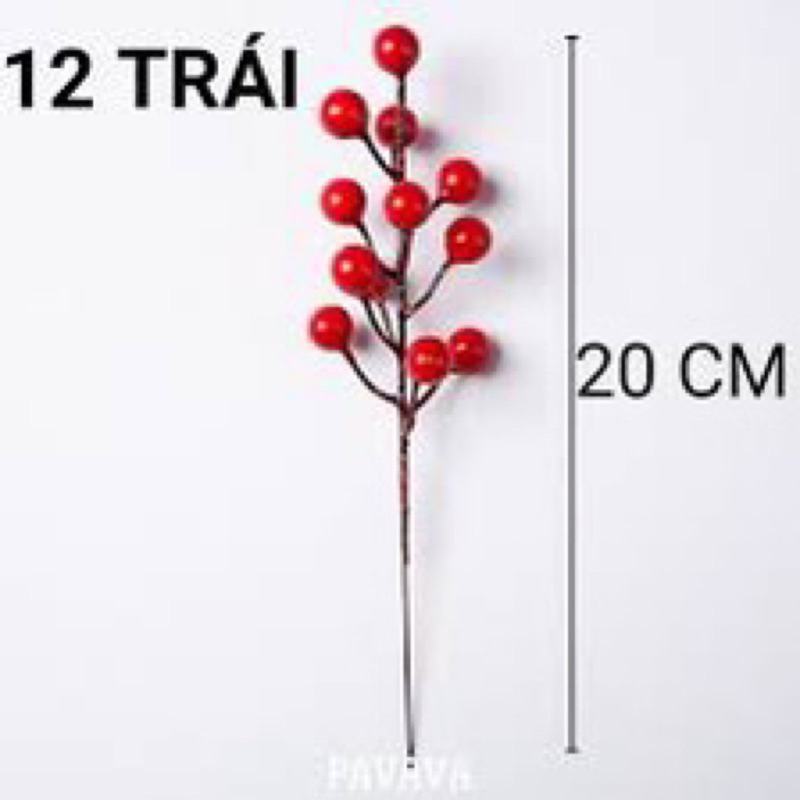 Cành Berry chùm 12 quả