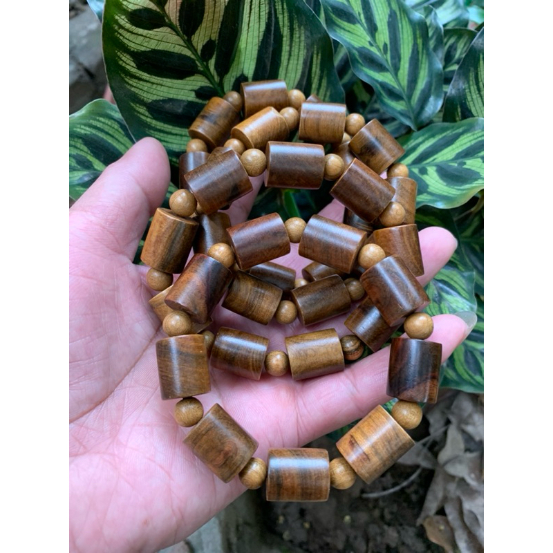 Vòng đốt trúc bách xanh mộc châu . hàng chìm nước .