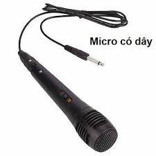 Mic Có Dây Giá Rẻ Cho Âm Ly, Loa Kéo , Loa Karaoke Bluetooth Jack 6.5 Thông Dụng - Micro Hút Giọng, Echo Độ Vang Chuẩn