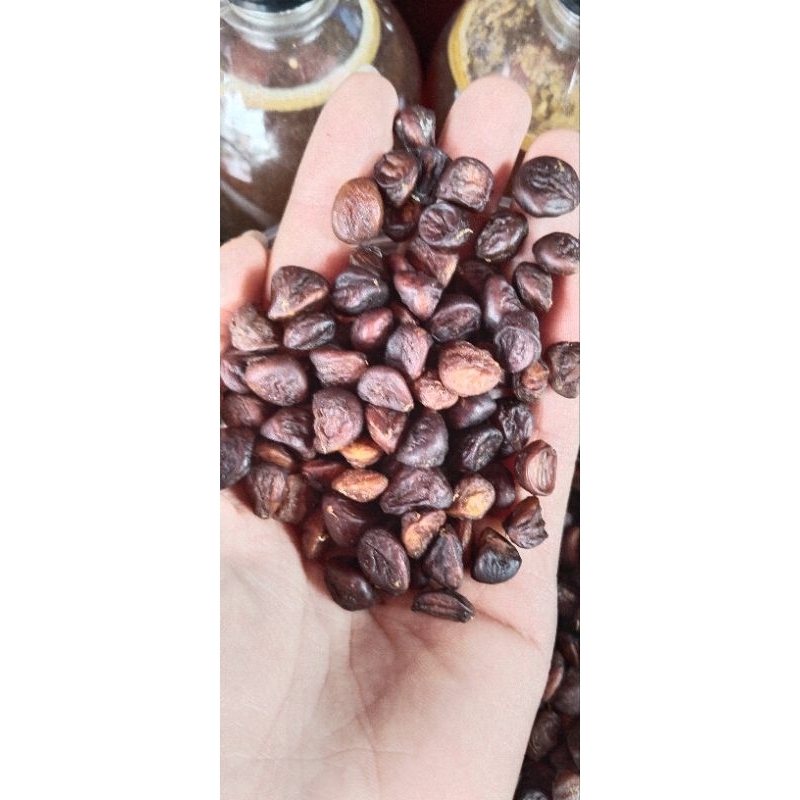 100g hạt dổi nếp tây bắc
