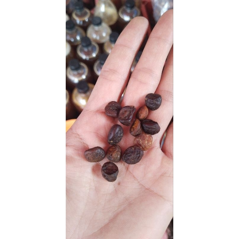 100g hạt dổi nếp tây bắc