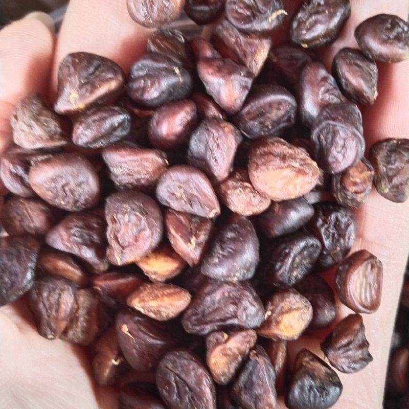 100g hạt dổi nếp tây bắc