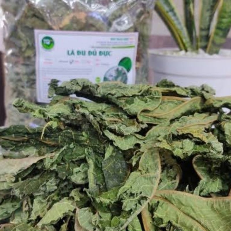 Lá Đu Đủ tươi/ sấy khô .. tự nhiên