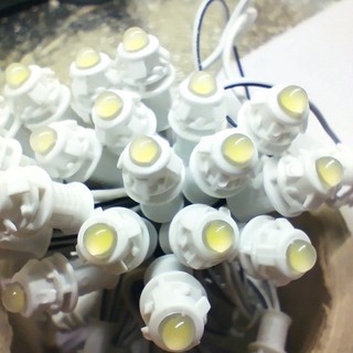 Đèn led đúc f5 đế 9mm/12v, 10 bó 30m bóng led
