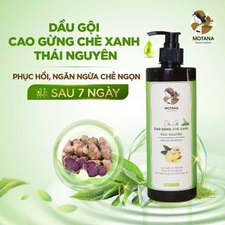 Dầu gội gừng đen chè xanh Thái Nguyên Motana 500ml, dầu gội giảm gàu, nấm và giảm rụng tóc