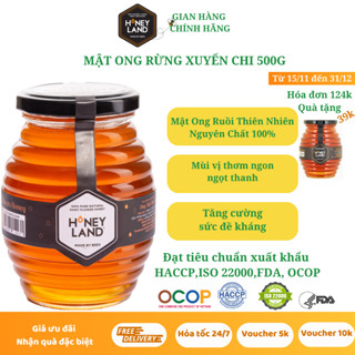 Mật ong rừng hoa Xuyến Chi HONEYLAND Hũ 500G mật ong thiên nhiên nguyên chất
