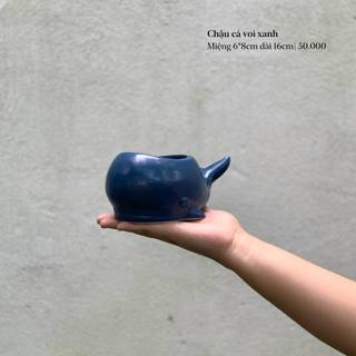 Chậu gốm trồng cây cá voi xanh Tròn Tròn Saigon