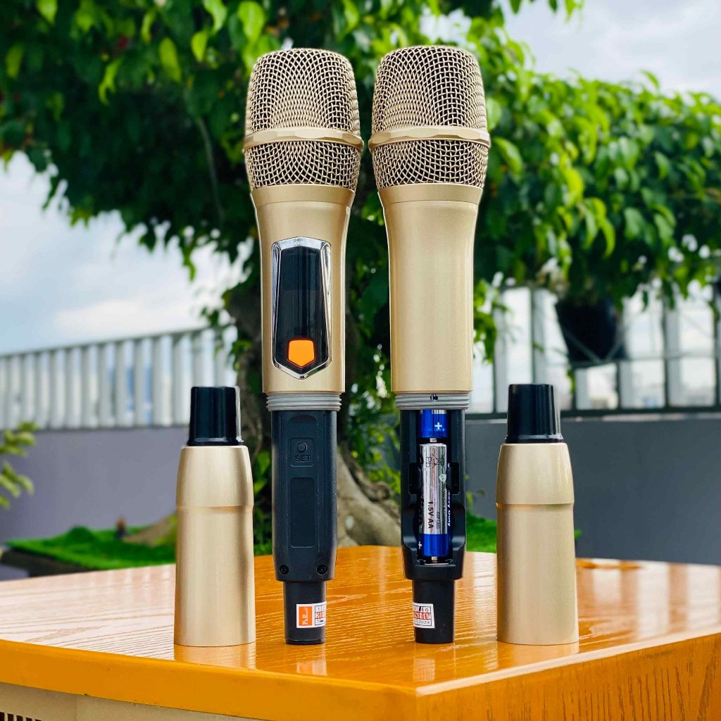 Loa Kéo MTMAX Z1000Pro 3 Đường Tiếng, Bass35 Kèm 2 Micro Không Dây Cao Cấp Bảo Hành 12 Tháng