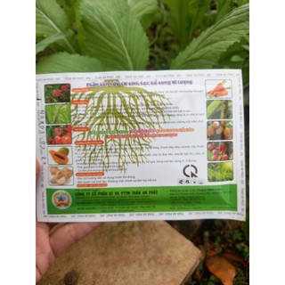 combo 3 gói dưỡng cây( xanh lá- ra rễ- đậu trái) gói 25gr