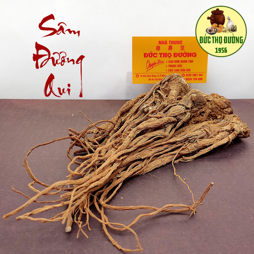 Sâm Đương Quy - 100g Củ