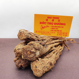 Sâm Đương Quy - 100g Củ