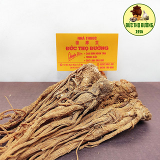 Sâm Đương Quy - Củ - bán lẻ từng củ