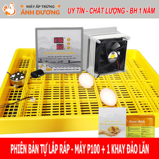 [ Hàng Chính Hãng ] - Combo Máy ấp trứng Ánh Dương P100 + 1 khay đảo tự động lăn 180 độ 50-60 trứng