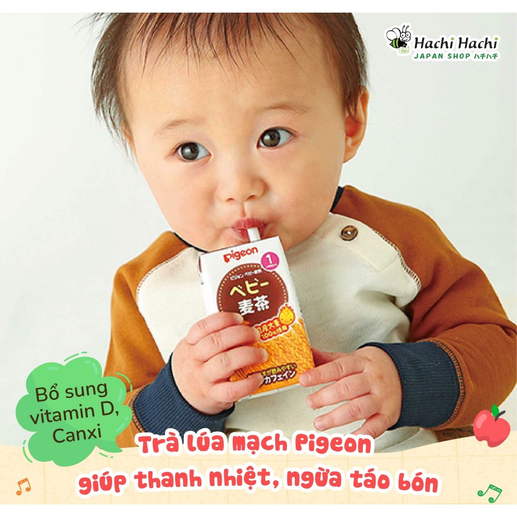 Trà lúa mạch Nhật Bản nguyên chất Pigeon  - Hachi Hachi Japan Shop