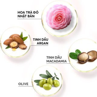Dầu Gội Phủ Bạc Lavox 200ml