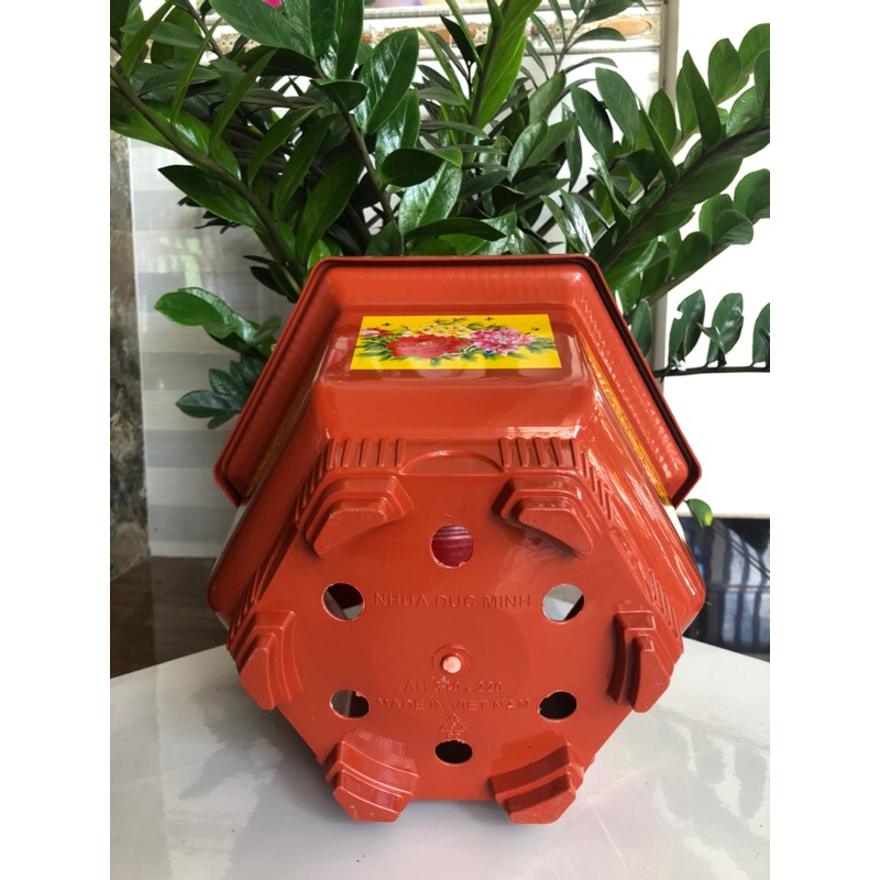 Chậu Nhựa Lục Giác AH310 Trồng Cây Màu đỏ