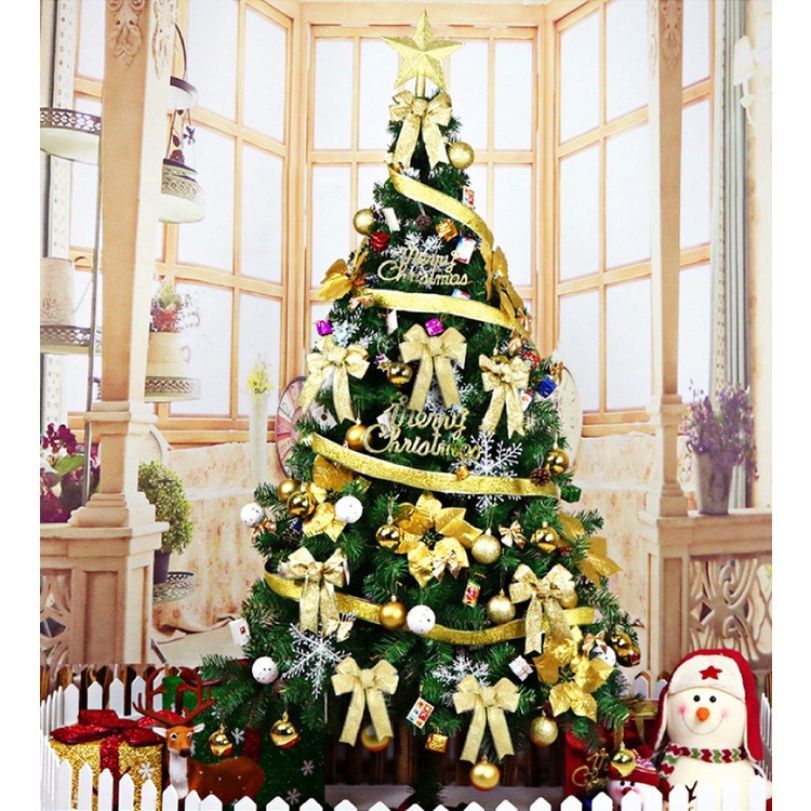 Cây Thông Noel 1m5, 1m8- Cây Thông Tán Dày Siêu Đẹp